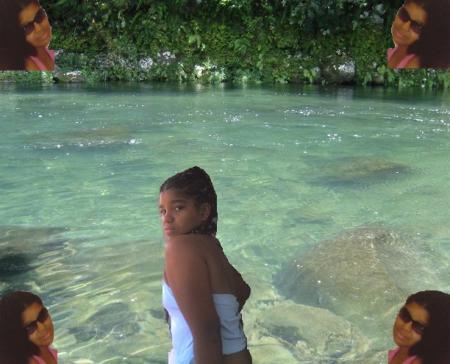 lorice